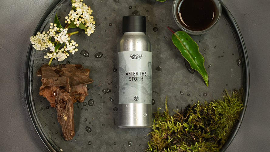 Aromatic Collection of Fragrance Oils - Olfactory Family