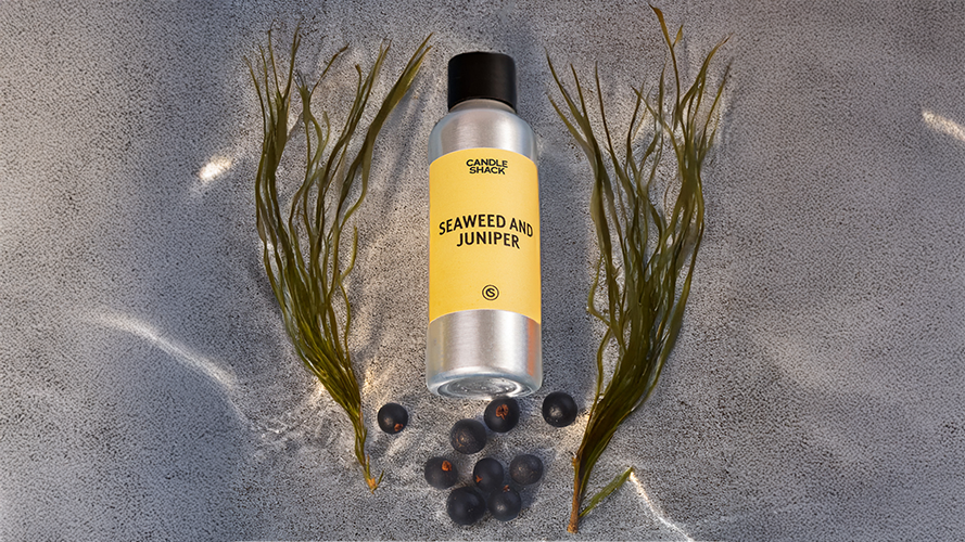 Marine Collection of Fragrance Oils - Olfactory Family