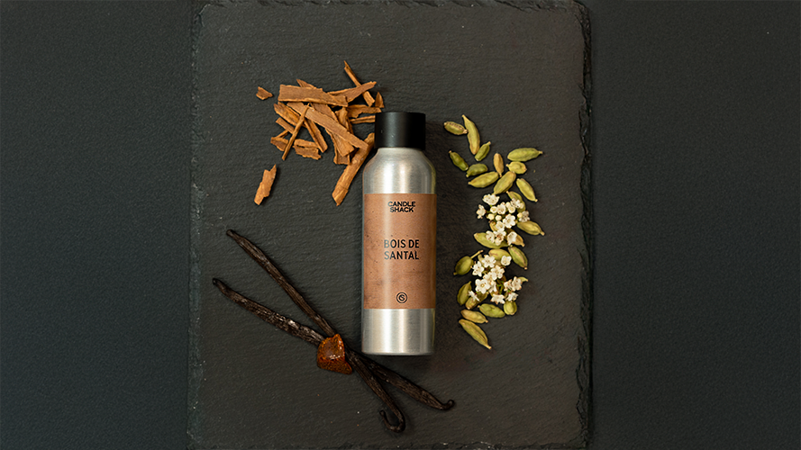 Woody Collection of Fragrance Oils - Olfactory Family