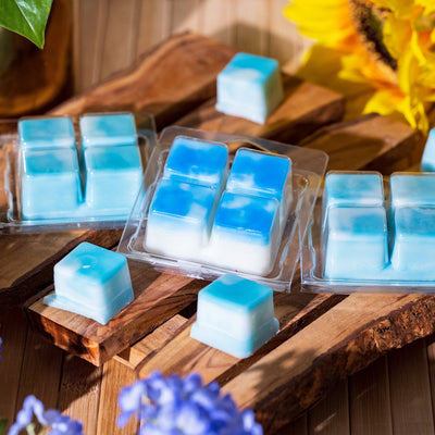 Clamshell - 4 Cavity Square