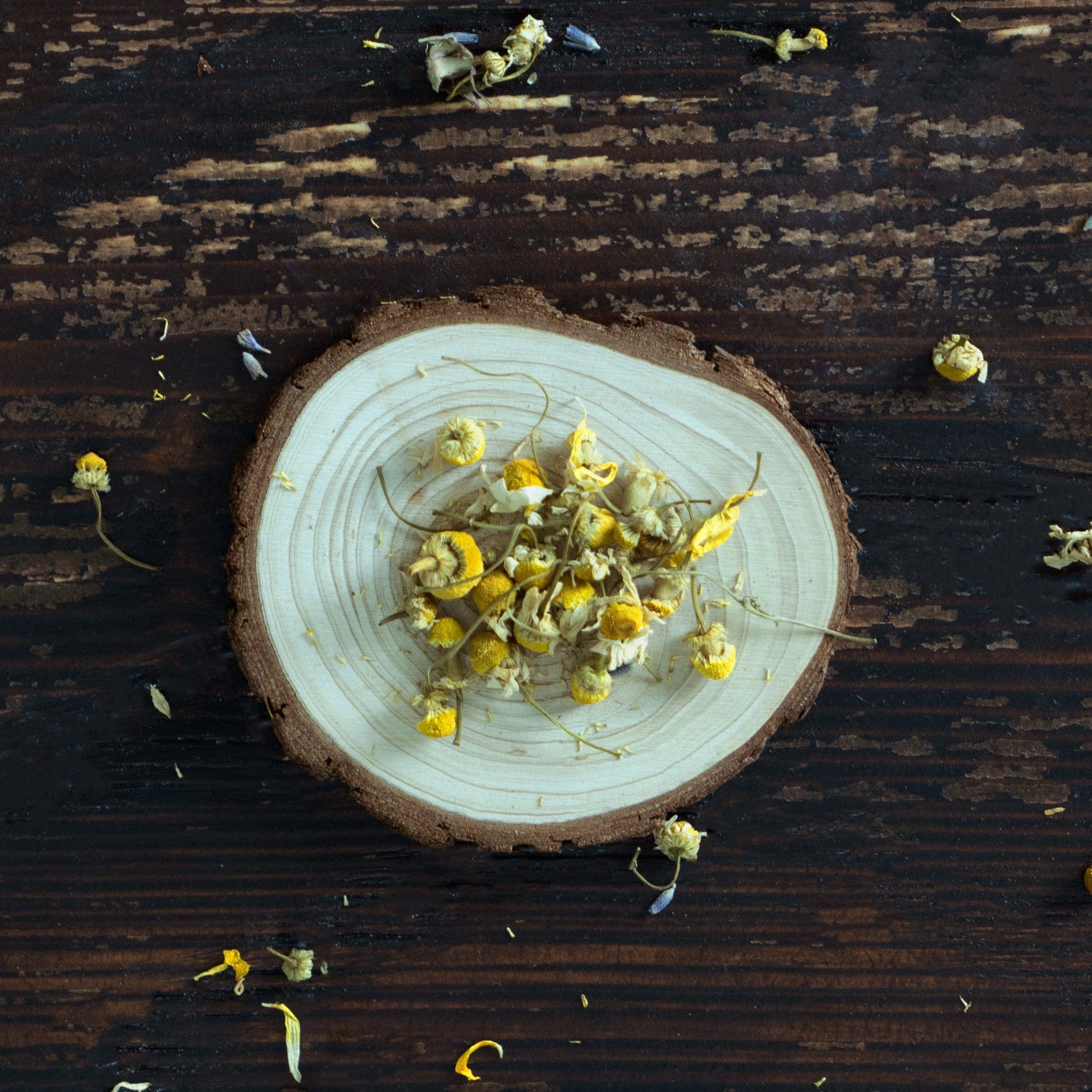 Chamomile Flowers for Wax Melts, Botanicals