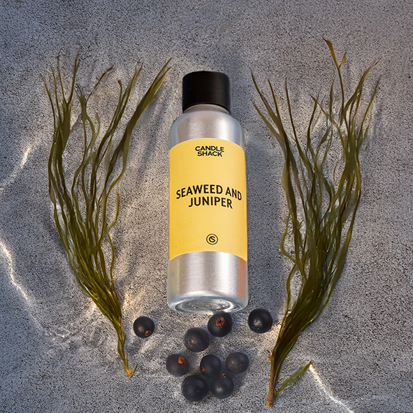 Marine Fragrances from the Fragrance Wheel