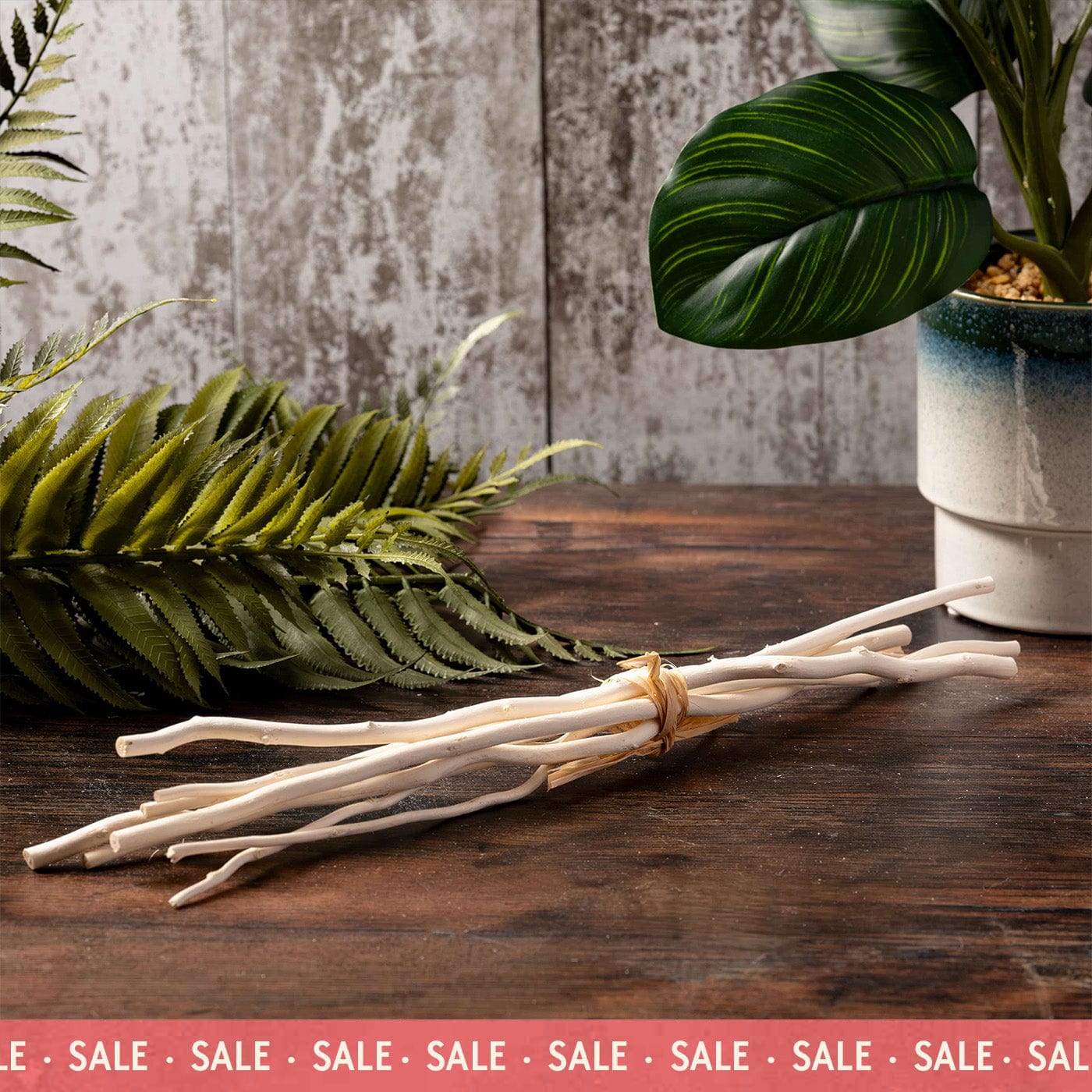 Roseaux diffuseurs en saule naturel 300 mm (lot de 10)