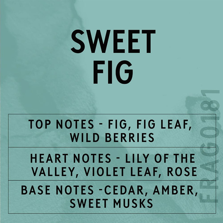 Candle Shack Fragrance Sweet Fig Fragrance Oil