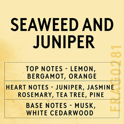 Seaweed and Juniper Fragrance Oil scent card