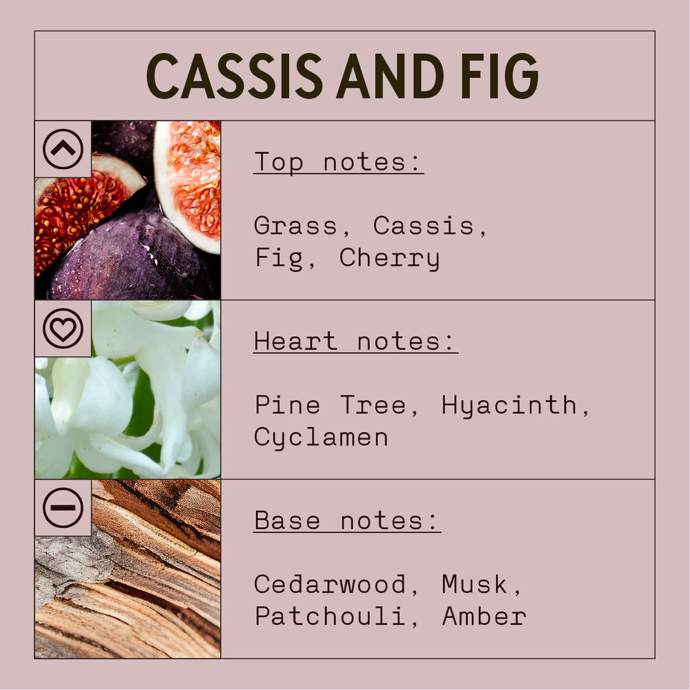 Soap2Go - Cassis &amp; Feige Flüssigseife