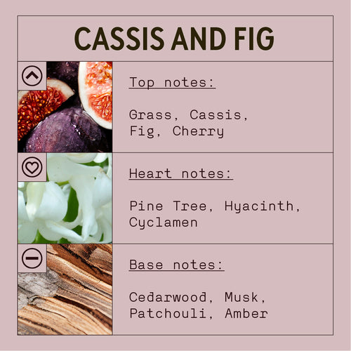 Soap2Go - Cassis &amp; Feige Flüssigseife