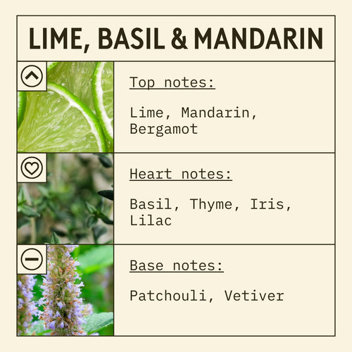 Lime, Basil & Mandarin fragrance oil scent card with citrus, aromatic and woody notes