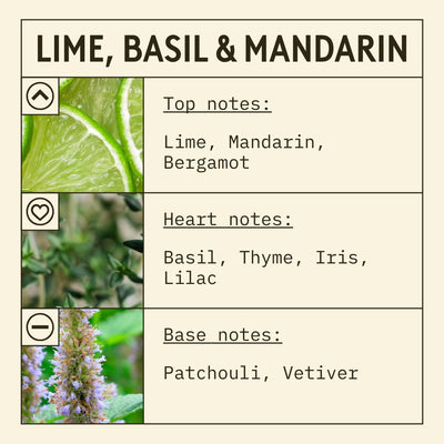 Infographic about lime, basil, and mandarin with images and notes on a beige background