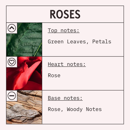 Roses fragrance oil scent card with floral and green notes