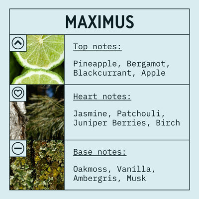 Maximus fragrance oil scent card with musky, woody and aromatic notes