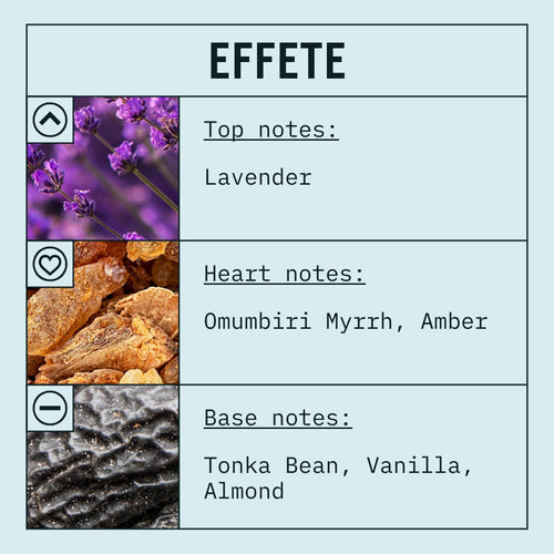 Effete fragrance oil scent card with musky, spicy and woody notes