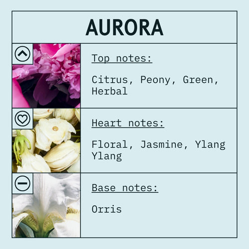 Aurora Fragrance Oil scent card and fragrance notes