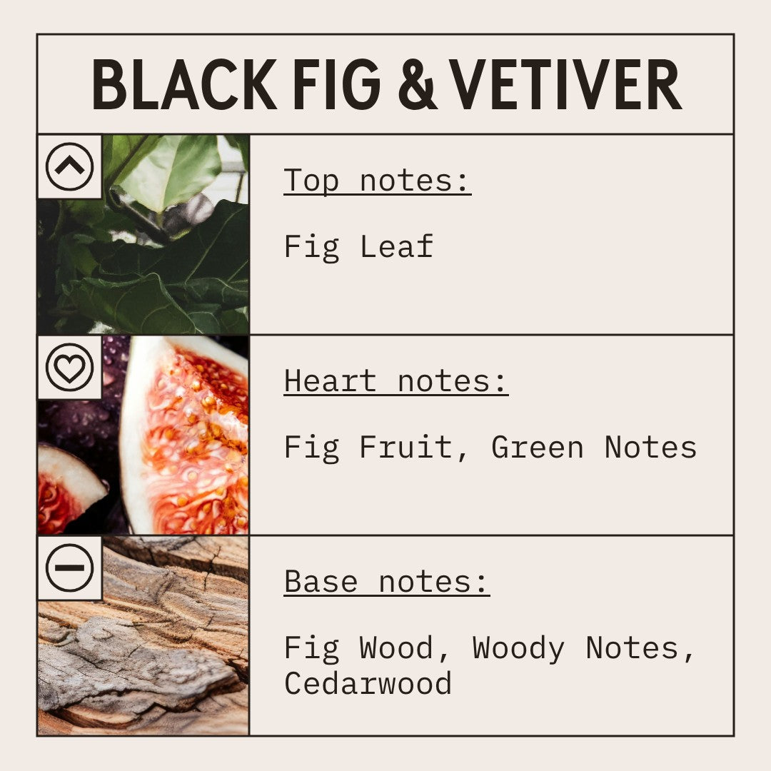 Black Fig & Vetiver candle fragrance oil scent card with fruity, musky and woody notes