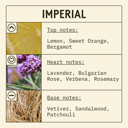 Imperial fragrance oil scent card with citrus, fruity and woody notes