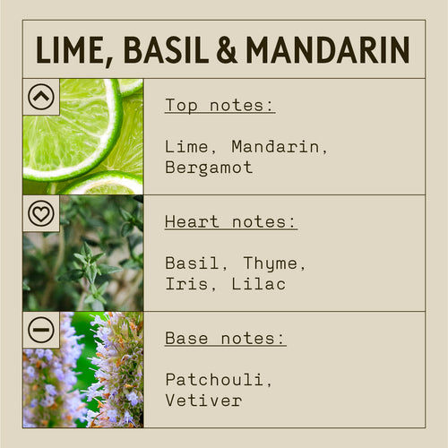 Hand & Body Lotion - Lime, Basil & Mandarin