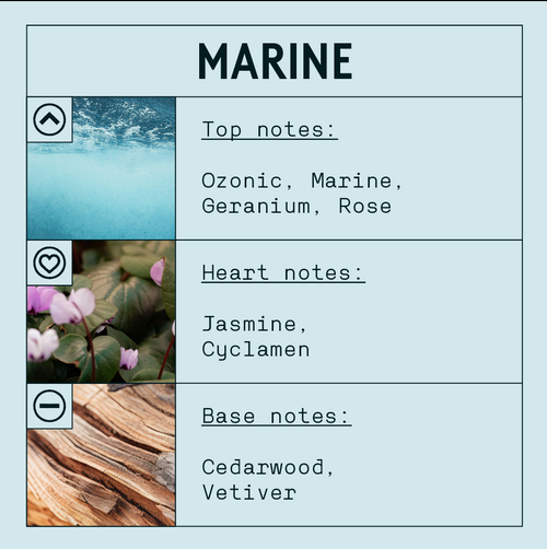 Marine fragrance oil – floral green woody candle scent by Candle Shack