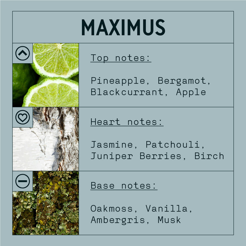 Maximus Fragrance Oil