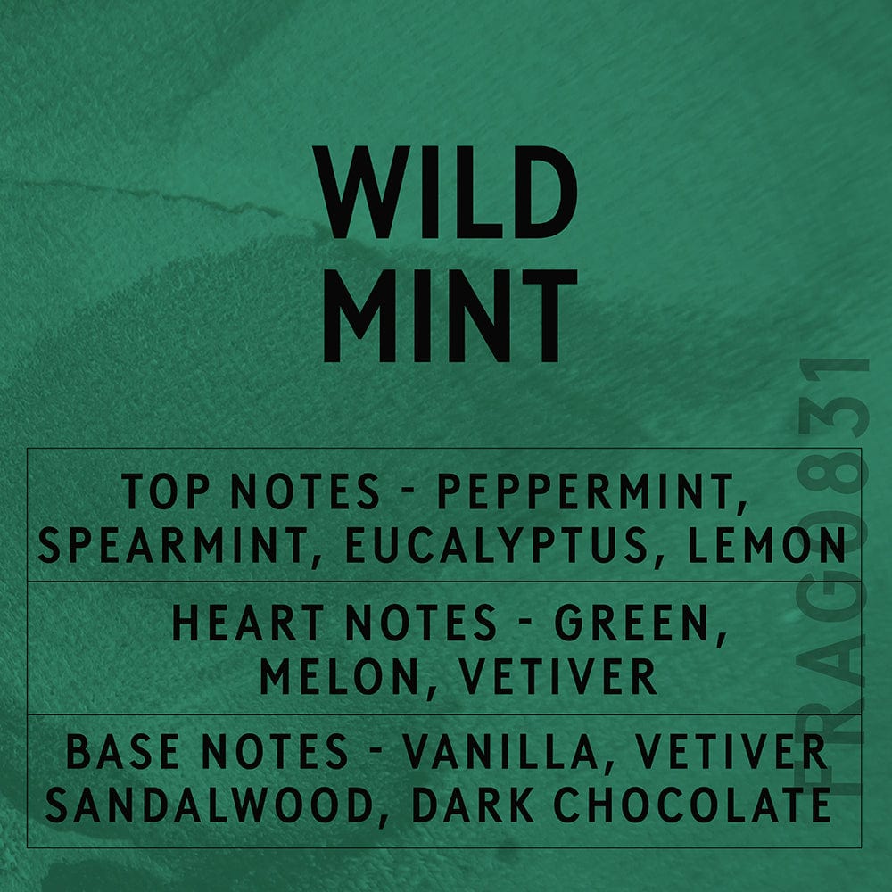 Huile parfumée à la menthe sauvage