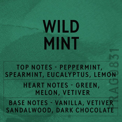 Huile parfumée à la menthe sauvage