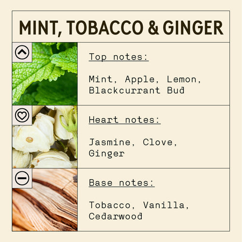 Mint, Ginger and Tobacco Fragrance Oil
