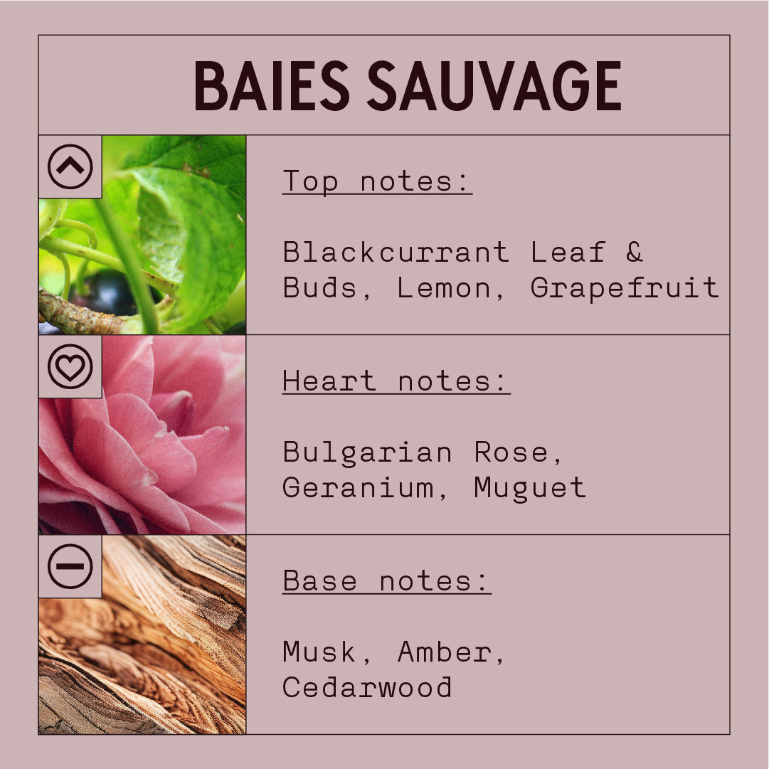 Huile parfumée Baies sauvages