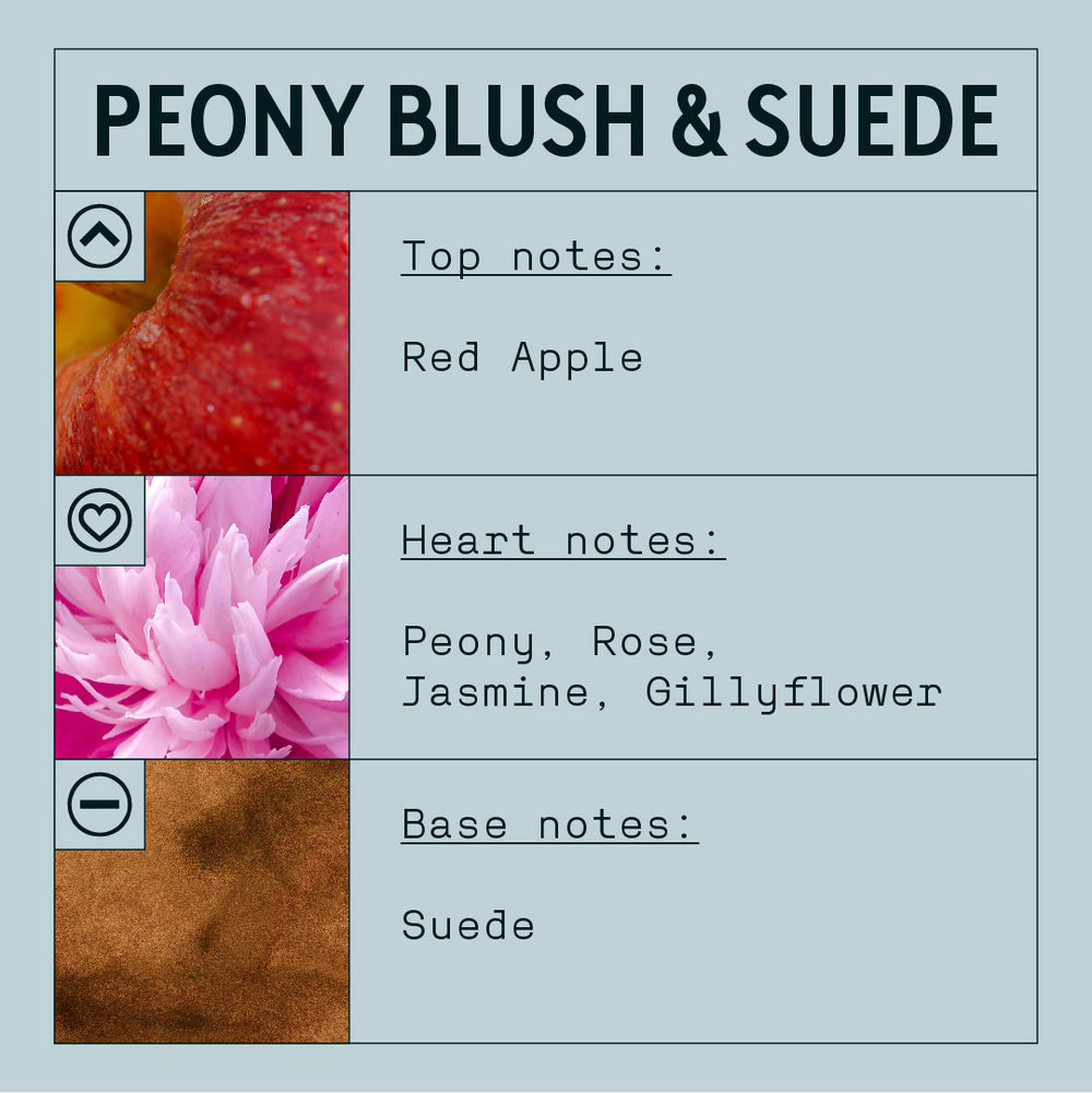 Peony & Blush Suede Fragrance Oil (Concentrated)