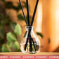 Candle Shack Diffuser Bottle 100ml Ava Diffuser - Clear (Box of 6)