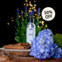 Candle Shack Fragrance Effete Fragrance Oil