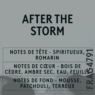 After The Storm Fragrance Oil scent card (French)