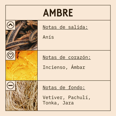 Ambre Fragrance Oil scent card (Spanish)