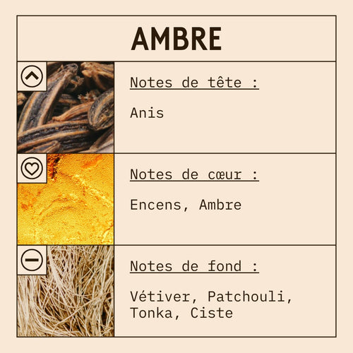 Ambre Fragrance Oil scent card (French)
