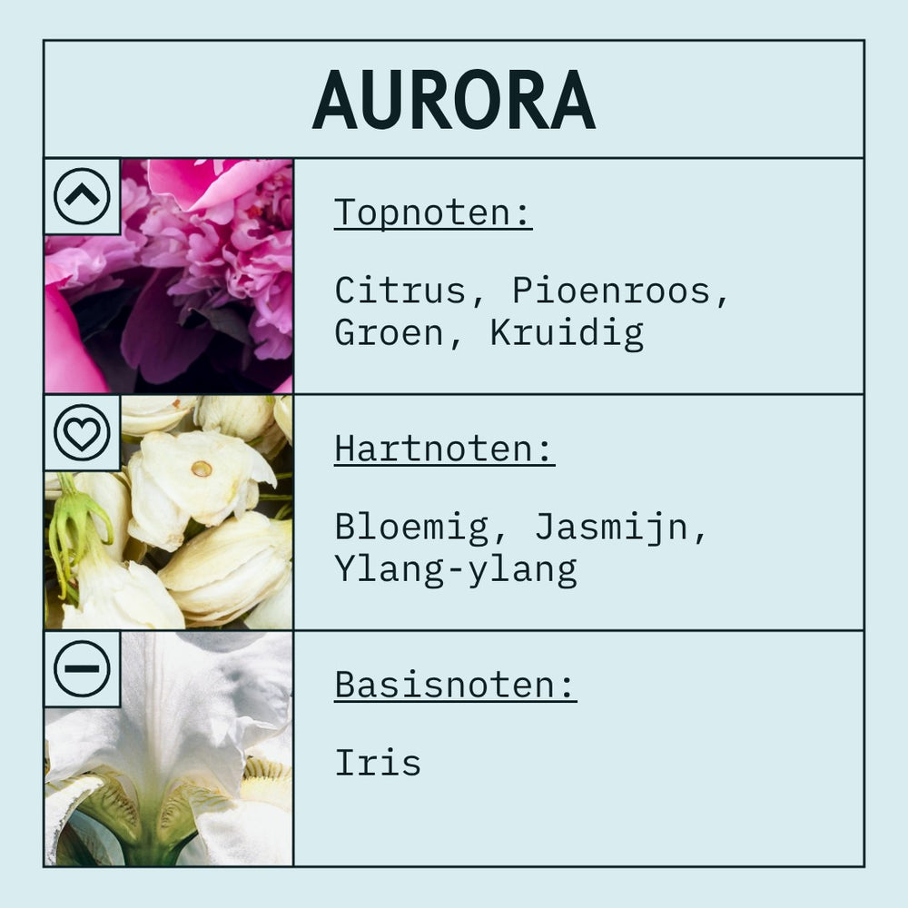 Aurora Fragrance Oil scent card (Dutch)