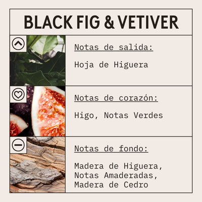 Black Fig & Vetiver Candle Fragrance Oil scent card (Spanish)