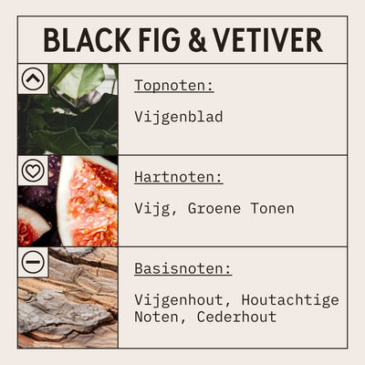 Black Fig & Vetiver Candle Fragrance Oil scent card (Dutch)