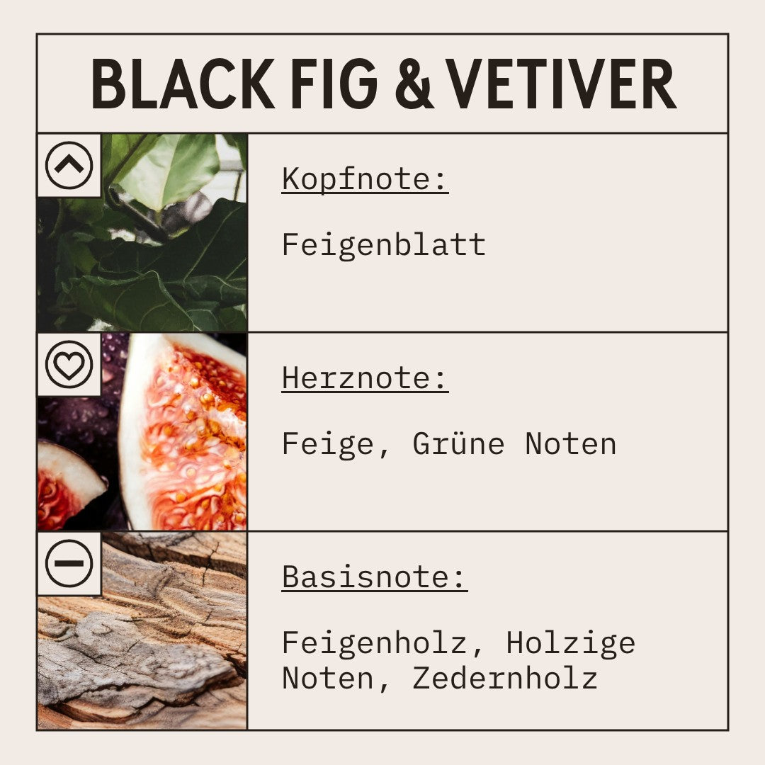 Black Fig & Vetiver Reed Fragrance Oil scent card (German)