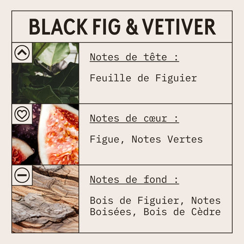 Black Fig & Vetiver Reed Fragrance Oil scent card (French)