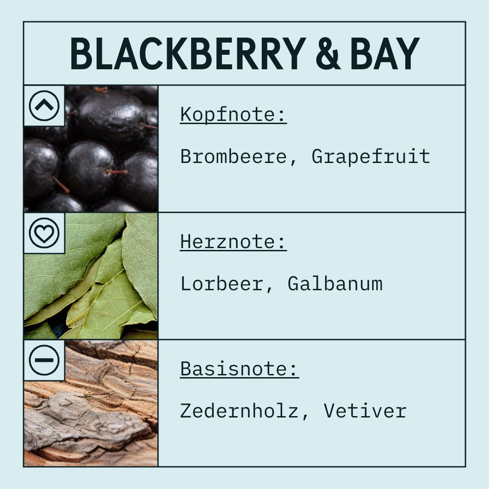 Blackberry & Bay Fragrance Oil (Concentrated) scent card (German)