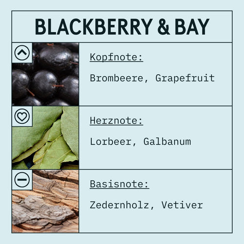 Blackberry & Bay Fragrance Oil (Concentrated) scent card (German)