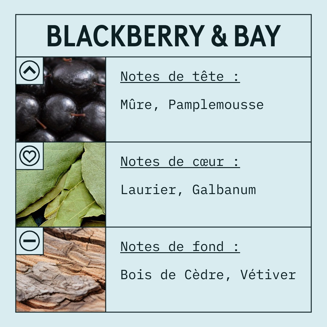 Blackberry & Bay Fragrance Oil (Concentrated) scent card (French)