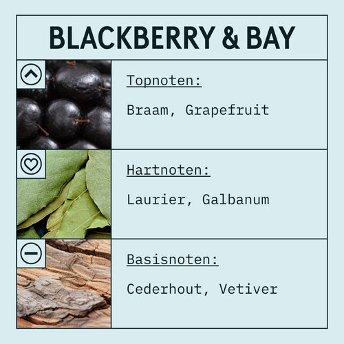 Blackberry & Bay Fragrance Oil (Concentrated) scent card (Dutch)