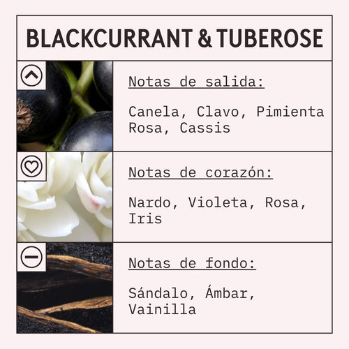 Blackcurrant and Tuberose Fragrance Oil scent card (Spanish)