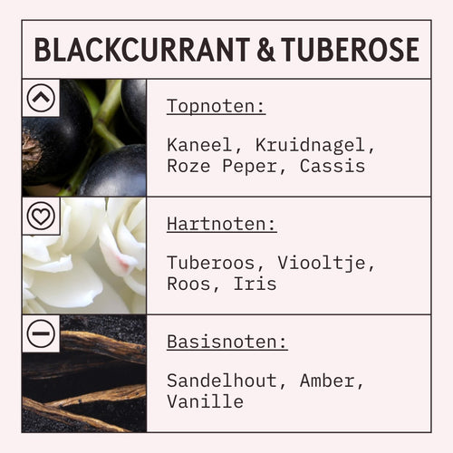 Blackcurrant and Tuberose Fragrance Oil scent card (Dutch)