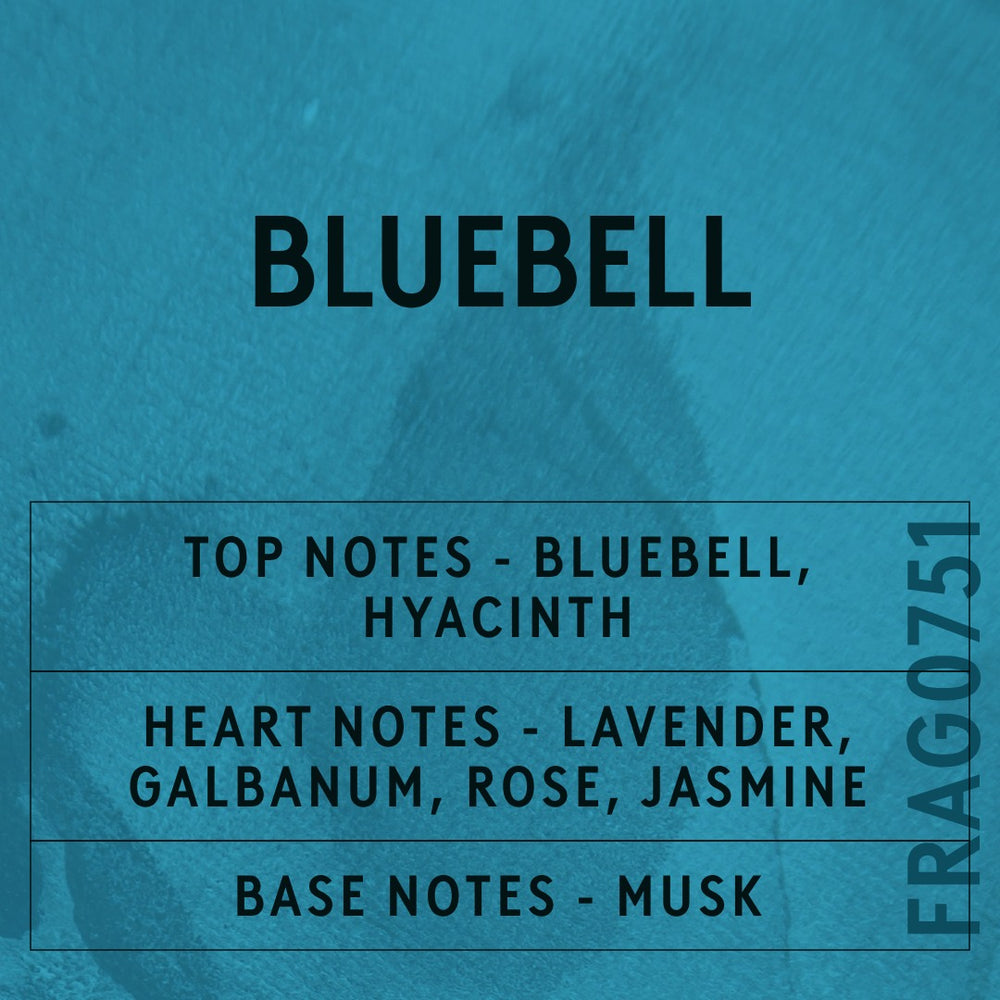 Bluebell fragrance oil - Candle Shack aluminium bottle with dried botanicals on a dark slate background