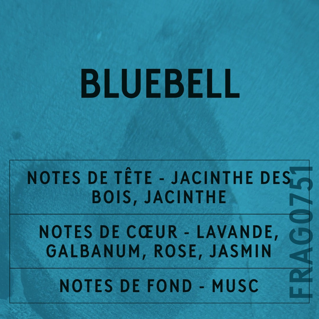 Bluebell Fragrance Oil scent card (French)