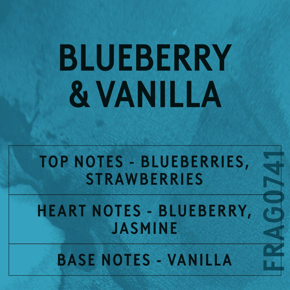 Blueberry & Vanilla fragrance oil - Candle Shack aluminium bottle with dried botanicals on a dark slate background