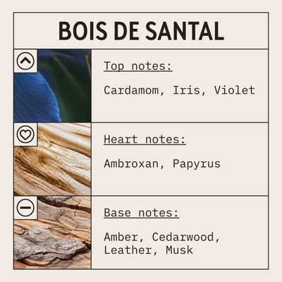 Bois De Santal Fragrance Oil scent card (English)