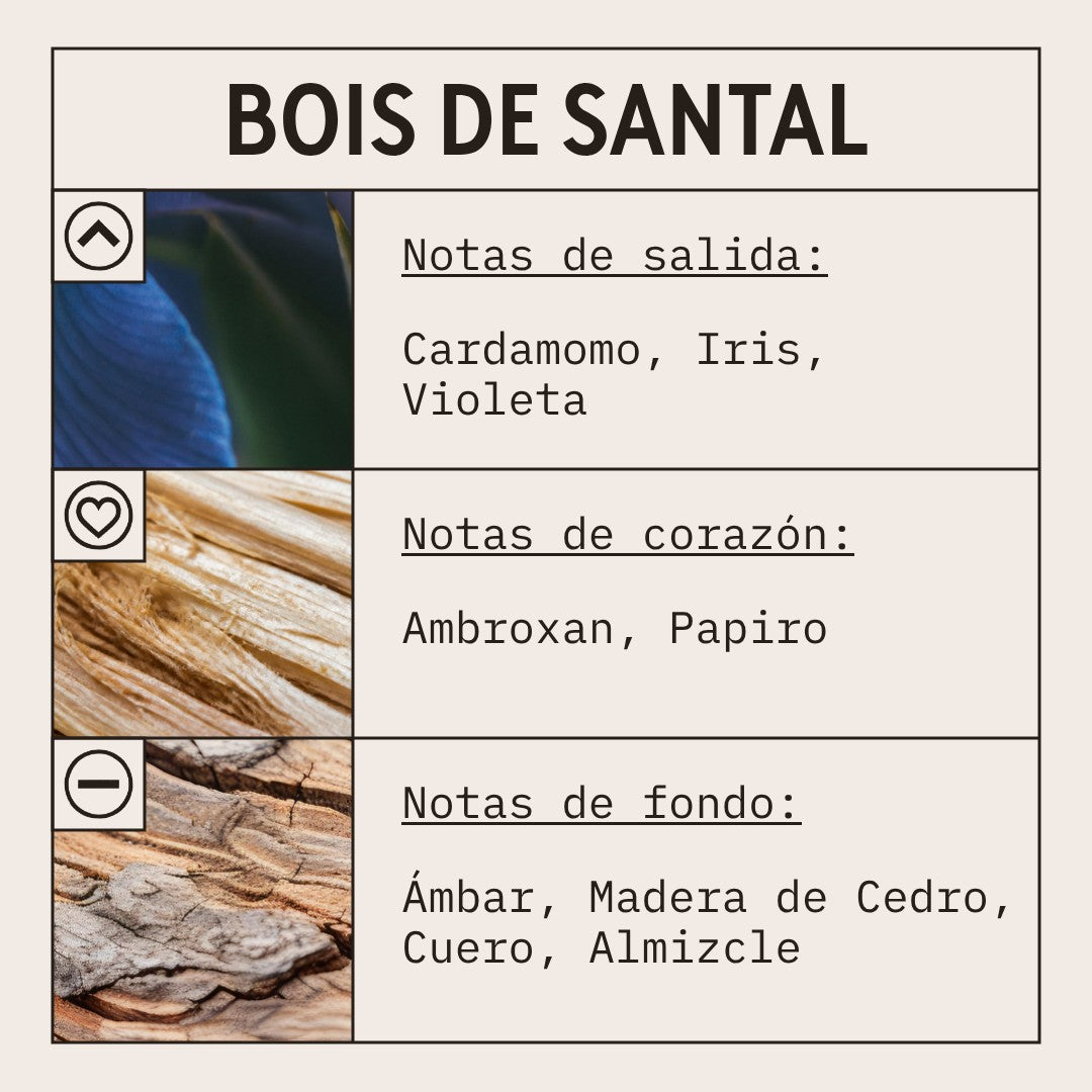 Bois De Santal Fragrance Oil scent card (Spanish)
