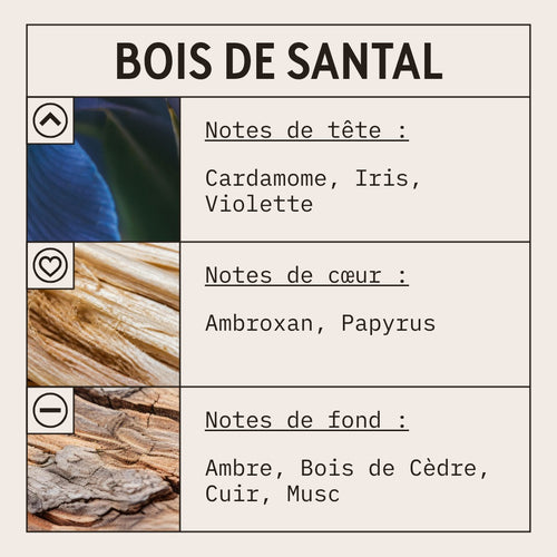 Bois De Santal Fragrance Oil scent card (French)