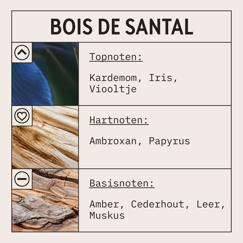 Bois De Santal Fragrance Oil scent card (Dutch)